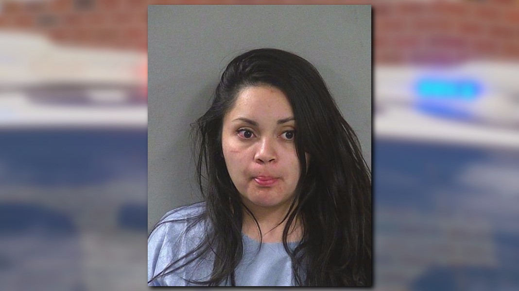 Police Woman arrested in stabbing at Nampa home